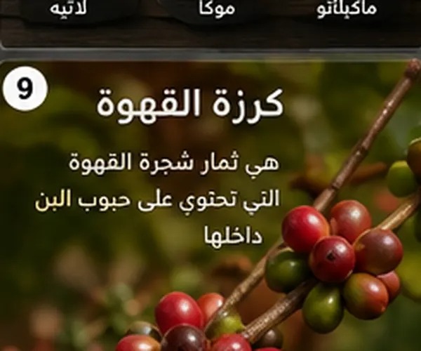تعرف على أنواع القهوة السعودية بالصور والوصف